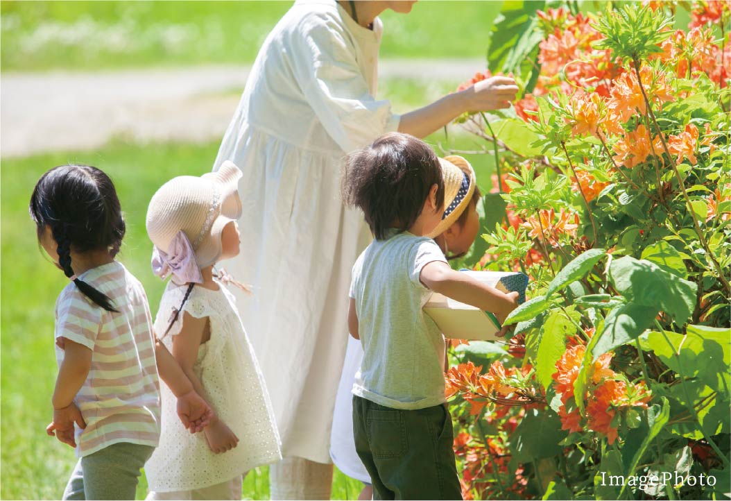 コミュニティガーデン