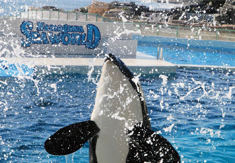 鴨川シーワールド
