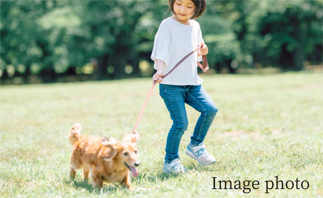 犬の散歩をする子供